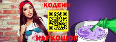 мдпв Камышлов