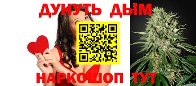мдпв Камышлов