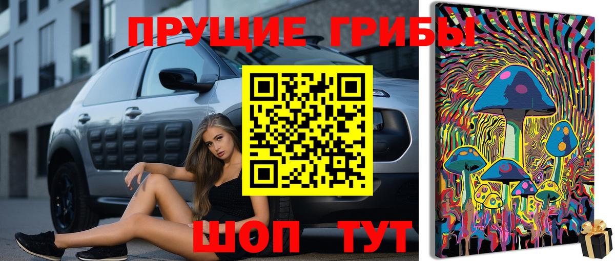 Псилоцибиновые грибы прущие грибы Кубинка
